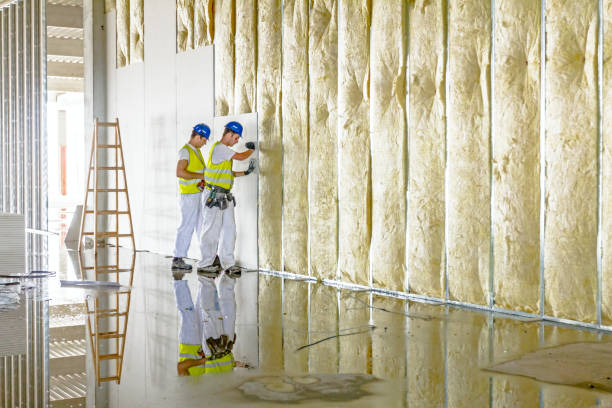 Best Geographic-Specific Insulation Services in Newport, TN